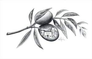 Logo Frantoio di Spello
